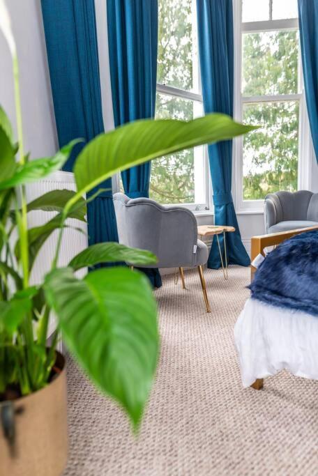 * Popular * Stunning Quiet Apartment By The Sea トーキー エクステリア 写真