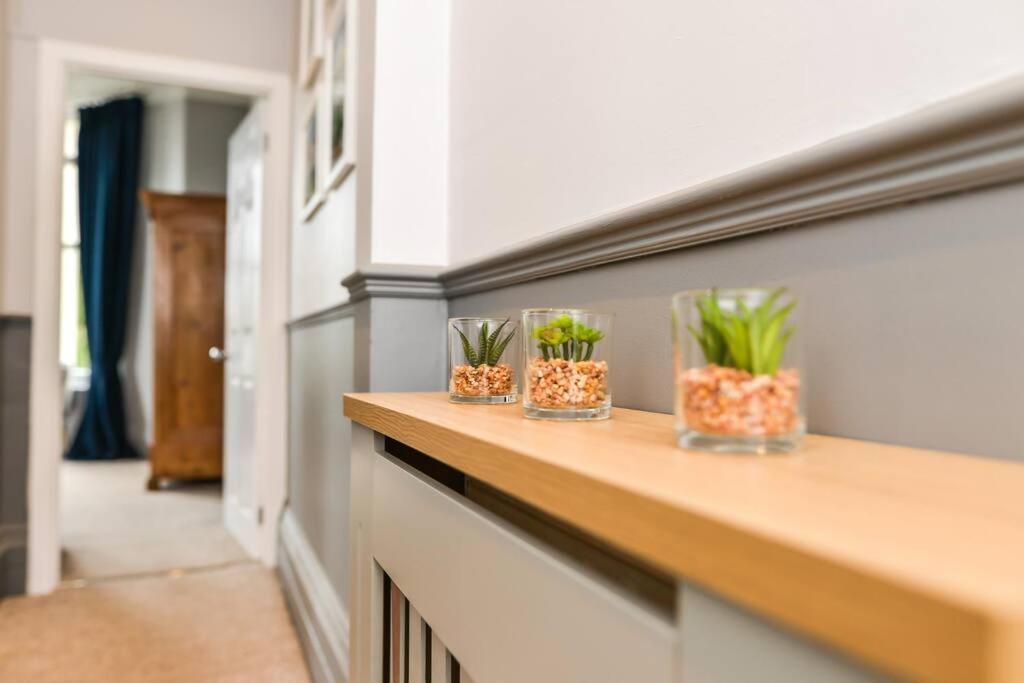 * Popular * Stunning Quiet Apartment By The Sea トーキー エクステリア 写真